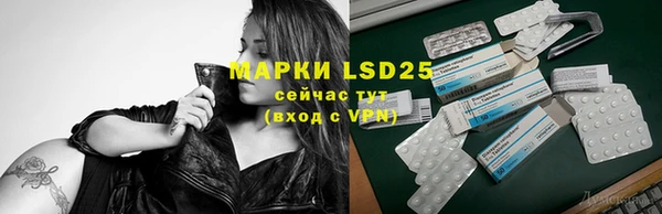 ПСИЛОЦИБИНОВЫЕ ГРИБЫ Балабаново