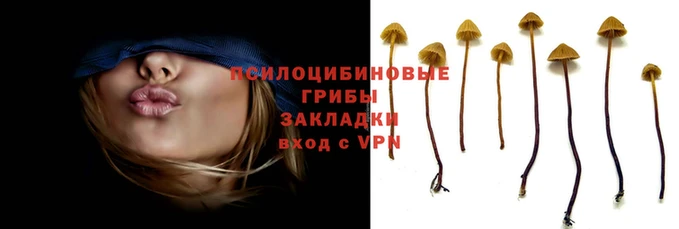 ПСИЛОЦИБИНОВЫЕ ГРИБЫ Балабаново