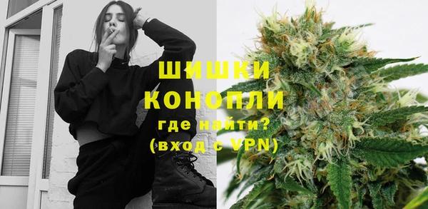 ПСИЛОЦИБИНОВЫЕ ГРИБЫ Балабаново