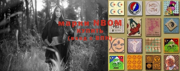 прущие грибы Баксан